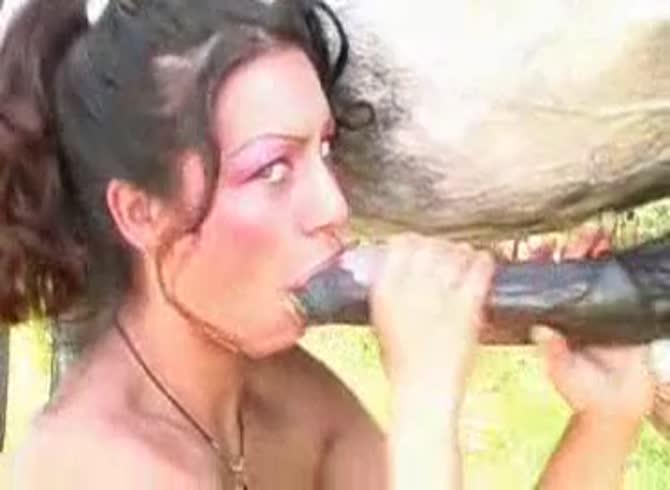 Video :Brunette whore giving blowjob to big horse dick